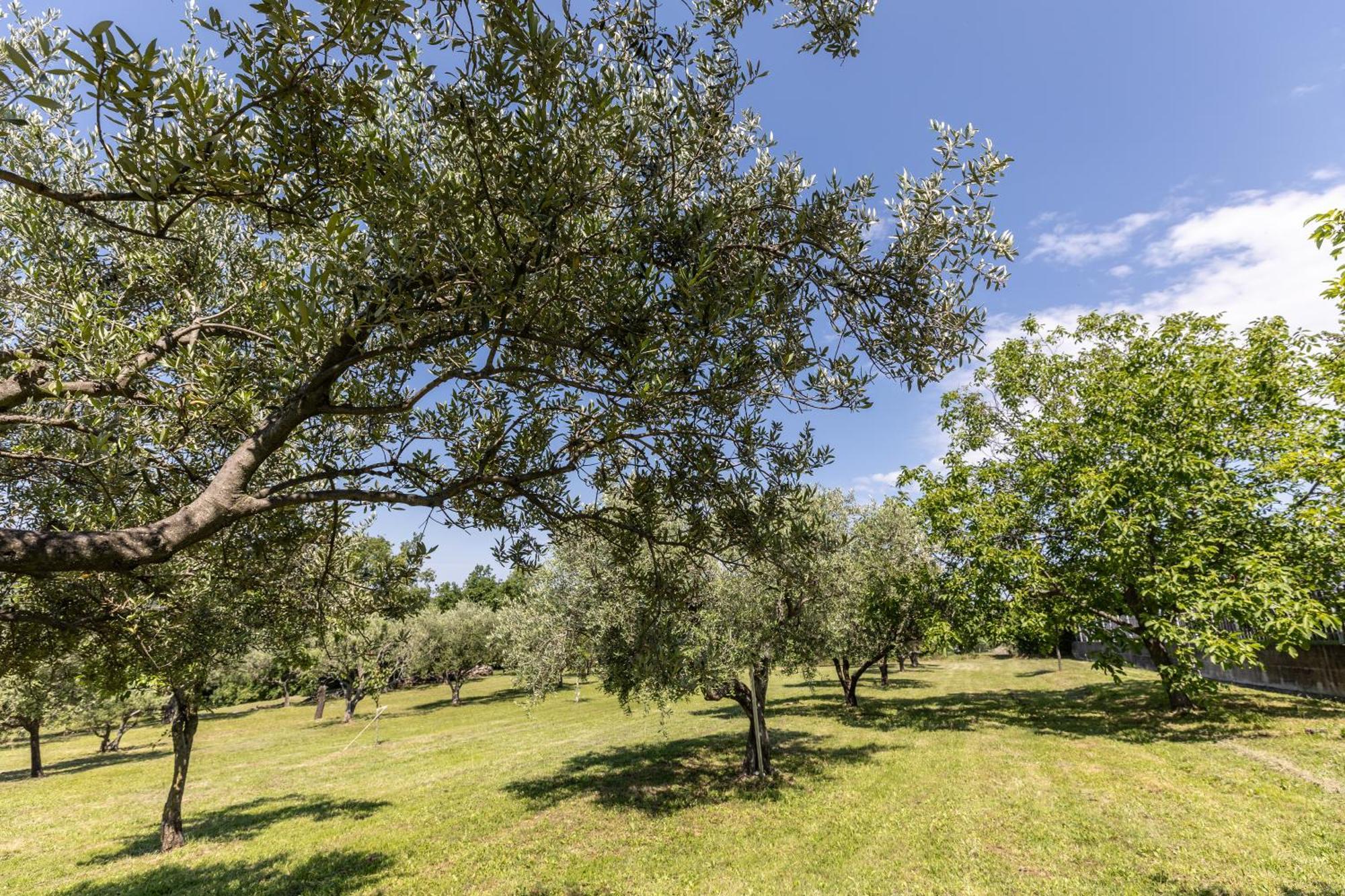 Affittacamere Cigui Múggia Εξωτερικό φωτογραφία